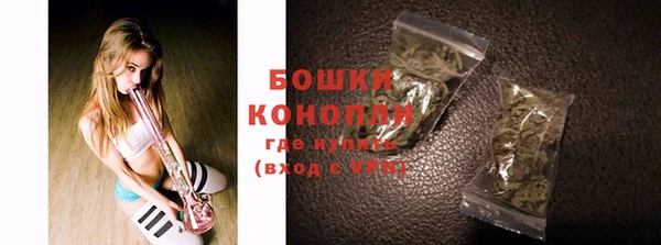 шишки Кирсанов
