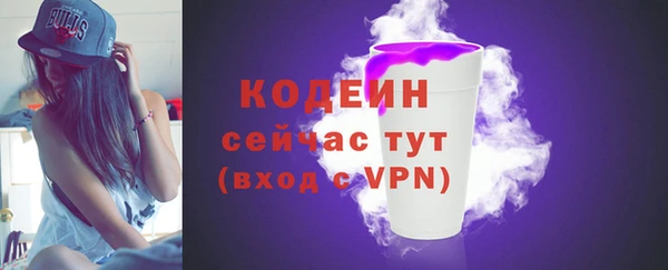 твердый Ладушкин