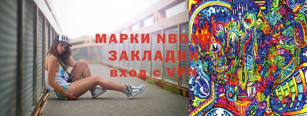 твердый Ладушкин