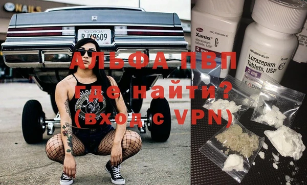 твердый Ладушкин