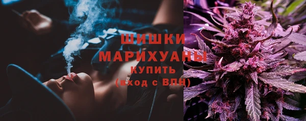 шишки Киселёвск
