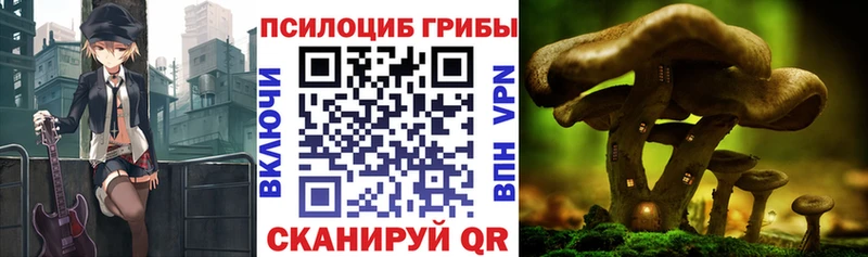 Псилоцибиновые грибы мицелий  MEGA сайт  Нариманов  купить  